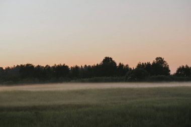 alan üzerinde irds.