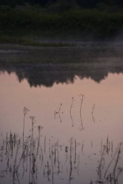 Gölün yüzeyinde..