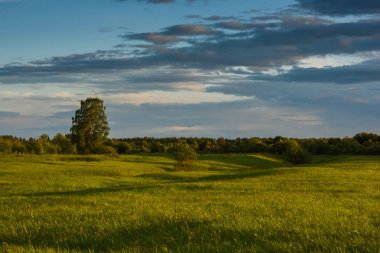Yaz alanında dramatik gün batımı.