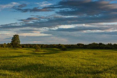 Yaz alanında dramatik gün batımı.