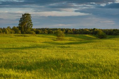 Yaz alanında dramatik gün batımı.