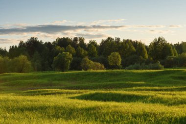 Yaz alanında dramatik gün batımı.