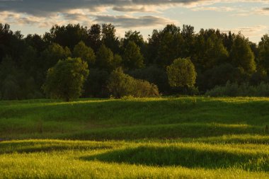 Yaz alanında dramatik gün batımı.