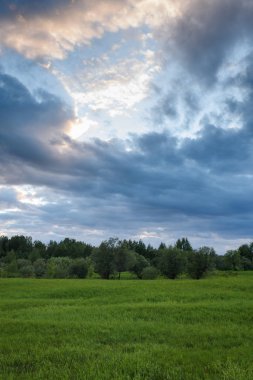 Yaz alanında dramatik gün batımı.