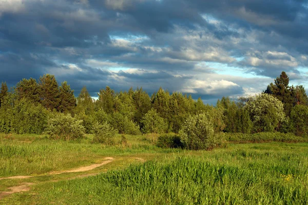 Yaz alanında dramatik gün batımı.
