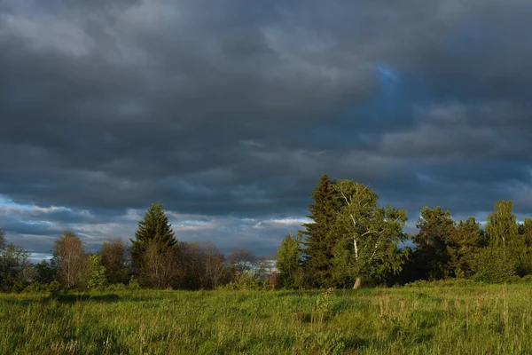 Yaz alanında dramatik gün batımı.