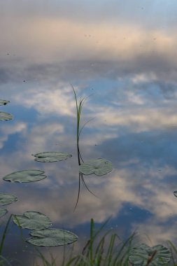 Gölün yüzeyinde..