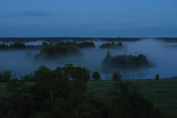 Midnight fog — Stock Photo, Image