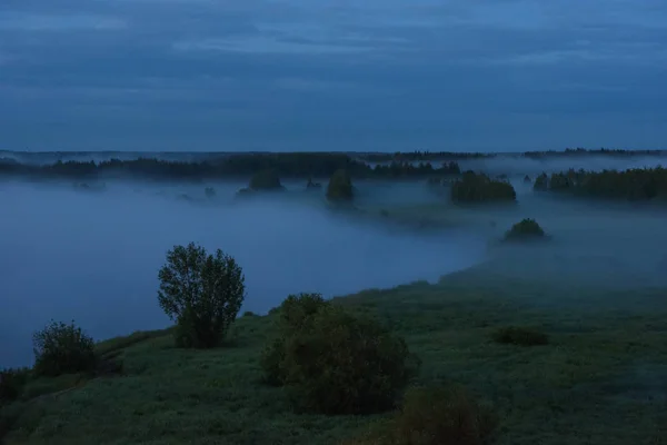 Mitternachtsnebel — Stockfoto