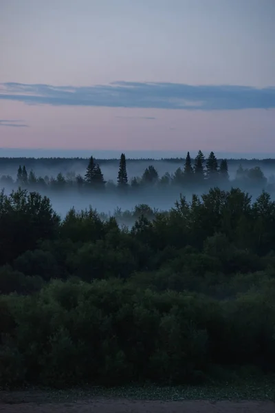 Midnatt dimma — Stockfoto