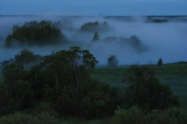 Midnatt dimma — Stockfoto