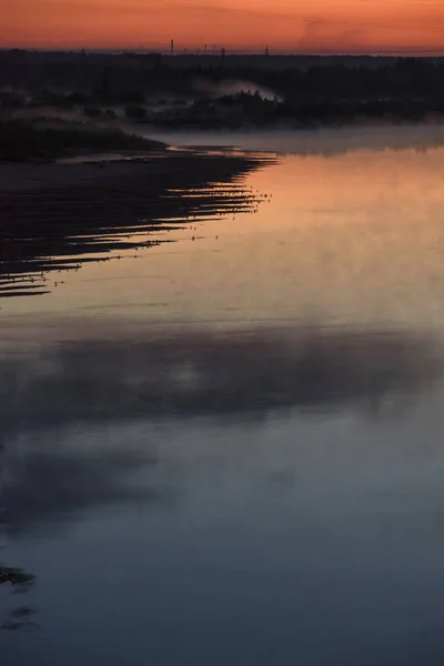 Aves en la noche de verano en la orilla del río . — Foto de Stock