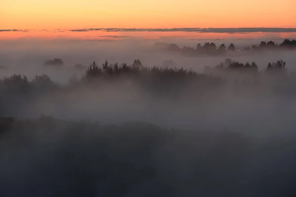 Nevoeiro da meia-noite — Fotografia de Stock