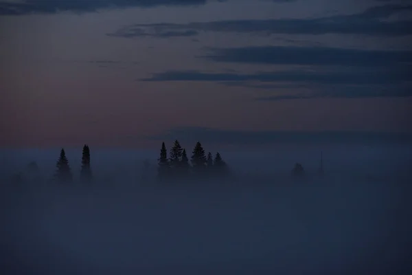 Brouillard de minuit — Photo