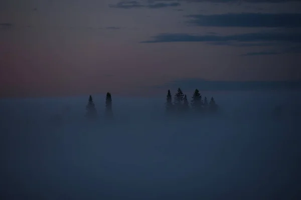 Middernacht mist — Stockfoto