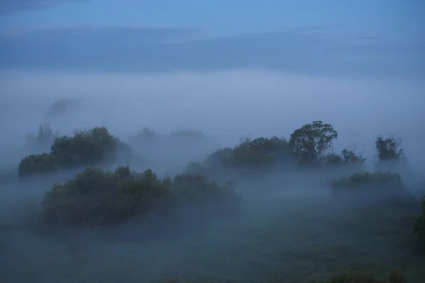 Nevoeiro da meia-noite — Fotografia de Stock