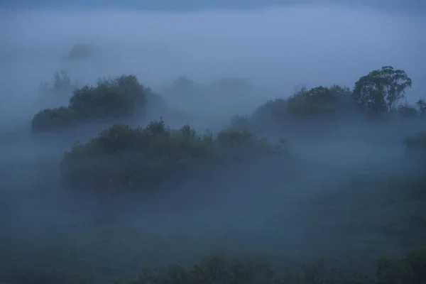 Nevoeiro da meia-noite — Fotografia de Stock