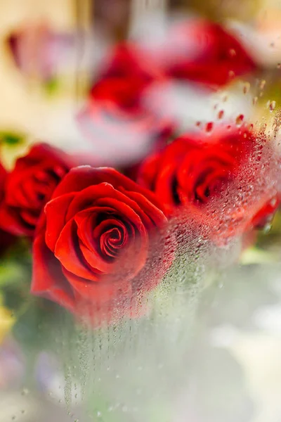 Röda rosor bakom glaset — Stockfoto