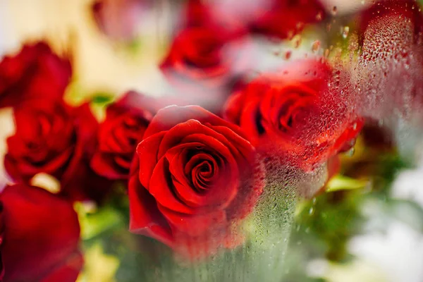 Röda rosor bakom glaset — Stockfoto