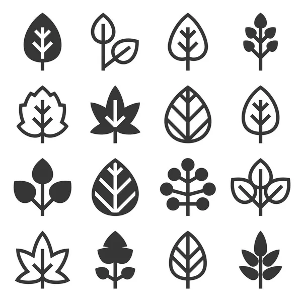 Iconos de hojas sobre fondo blanco. Vector — Archivo Imágenes Vectoriales