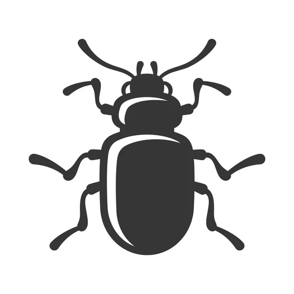 Escarabajo insecto icono sobre fondo blanco. Vector — Archivo Imágenes Vectoriales