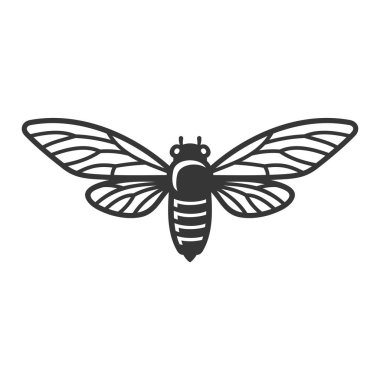 Beyaz Arka Plan üzerine Cicada Beetle Böcek. Vektör