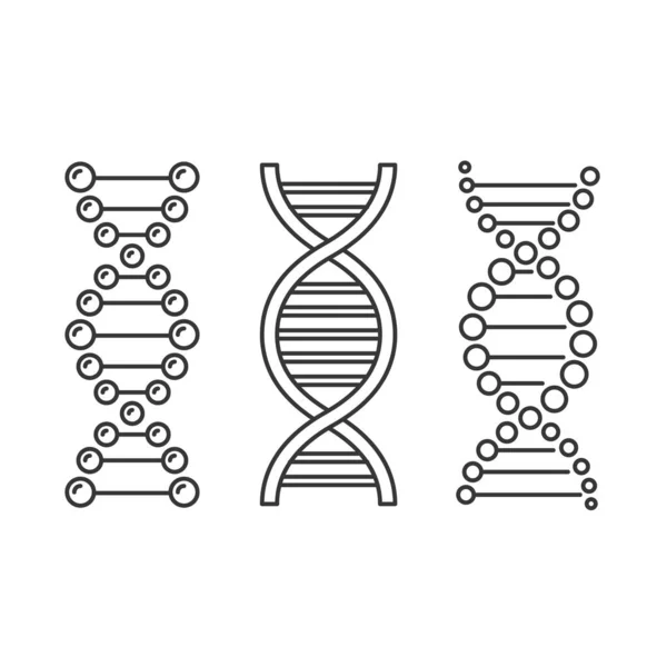 Iconos de ADN sobre fondo blanco. Vector — Vector de stock