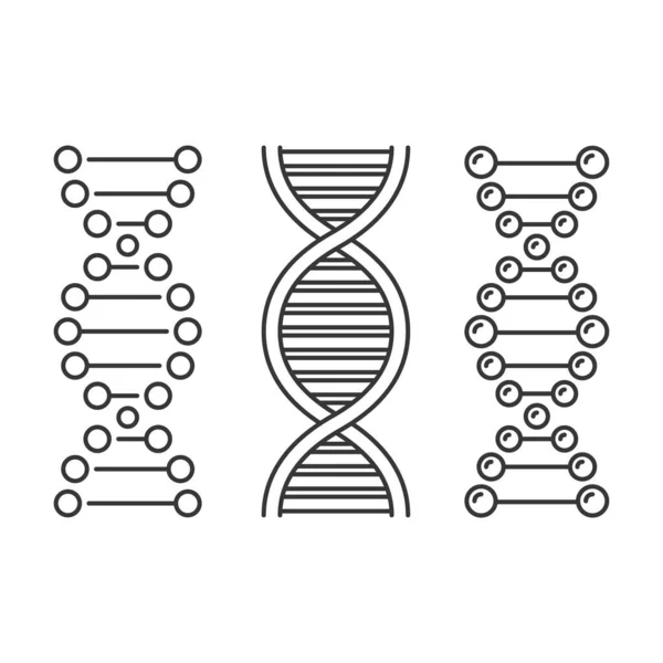 Ikony DNA nastavené na bílém pozadí. Vektor — Stockový vektor