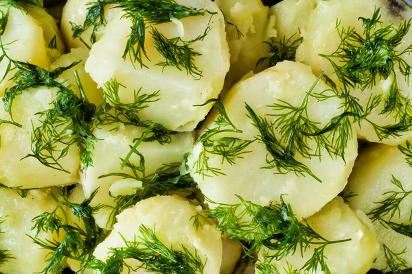 Сельский вареный картофель и укроп пищевой фон — стоковое фото