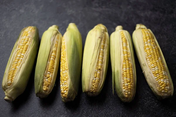 Kypsentämätön maissin kultainen korva — kuvapankkivalokuva