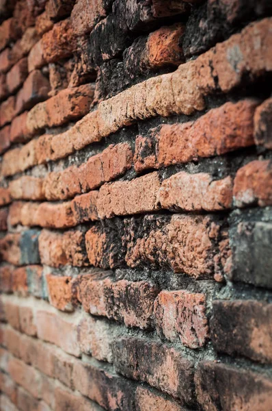 Aged Empty Brick Wall Background — Stock Photo, Image