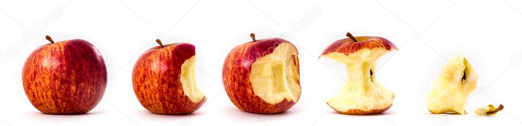 row with whole and bitten red apples on white background 