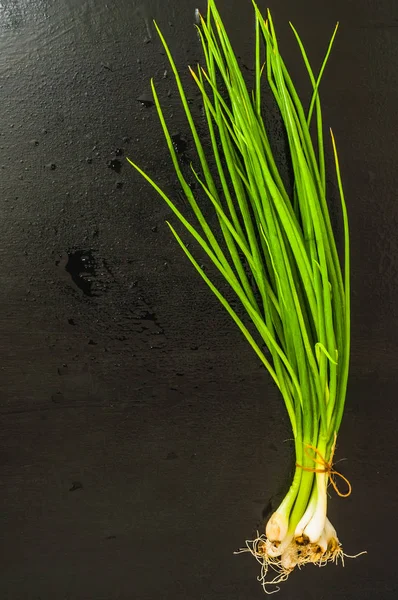 Groene Jonge Uitjes Zwarte Achtergrond — Stockfoto