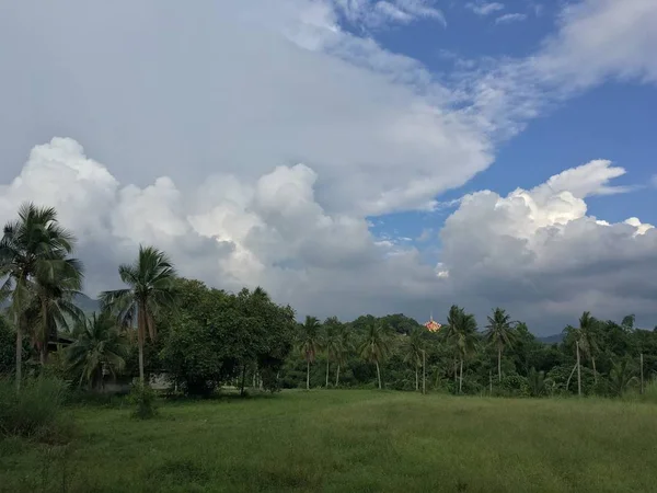 Landscape with palms and houses in green trees on cloudy sky