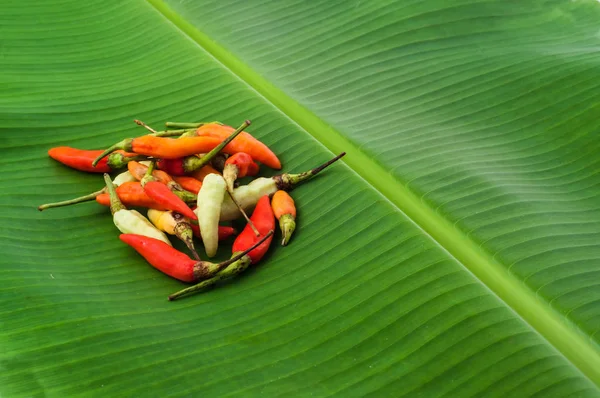 close up of peppers lying on banana leaf background