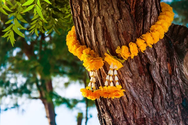 Tree Trunk Traditional Floral Decoration — Stock Photo, Image