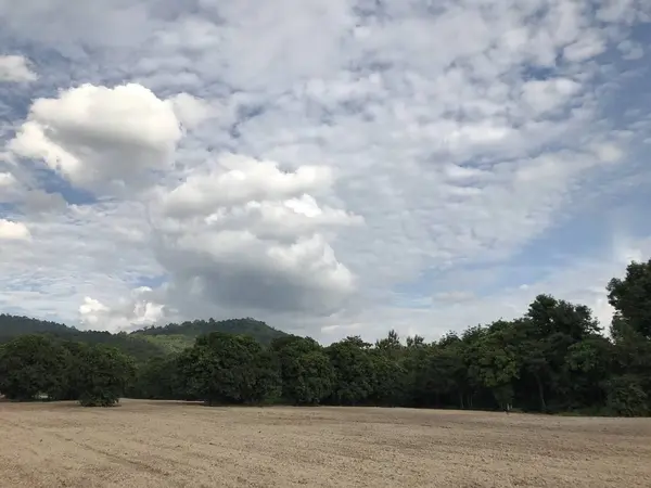 Landschaft Mit Grünen Bäumen Und Hügeln Tag — Stockfoto