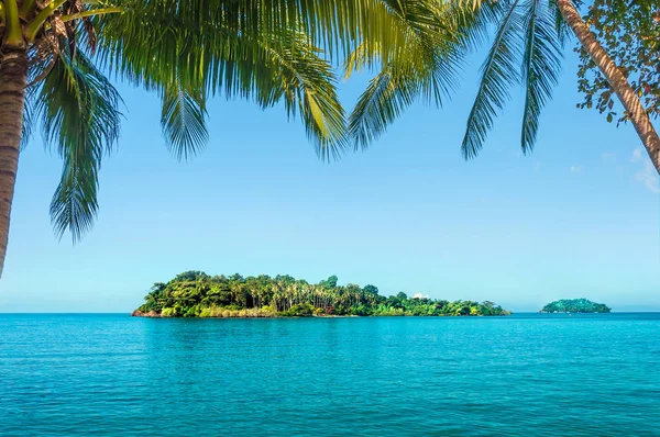 Paisaje Con Hojas Palmera Isla Océano Durante Día — Foto de Stock