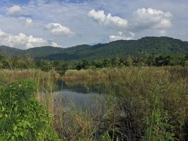 Landschaft Mit See Und Grünen Hügeln Unter Bewölktem Himmel — Stockfoto