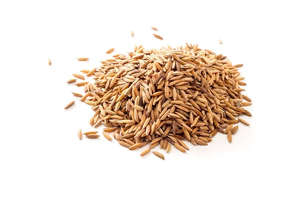 Close Oat Grains Pile Isolated White Background — Stock Photo, Image