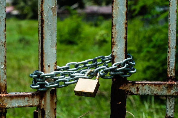 Metal Gate Locked Chain Padlock — Stock Photo, Image