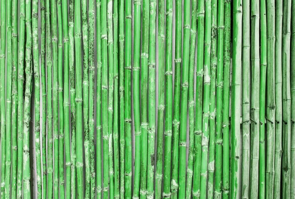 Pared Hecha Tallos Bambú Como Fondo —  Fotos de Stock