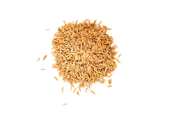 Top View Oat Pile Isolated Background — Stock Photo, Image