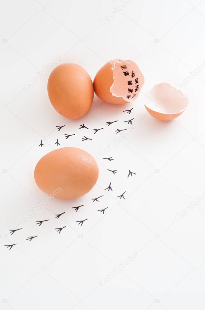 broken eggshell and bird traces isolated on white background