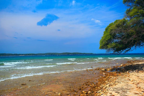 Каменный Пляж Адриатическом Море Хорватии — стоковое фото