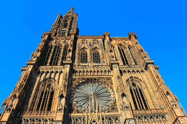 Strasbourg Mister Gotische Kathedrale Frankreich — Stockfoto