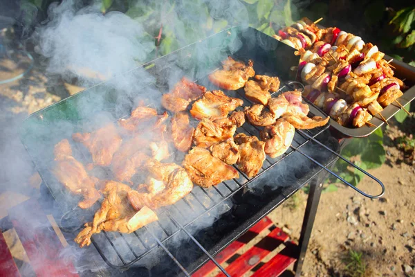 grill at the garden party - Stock Image - Everypixel