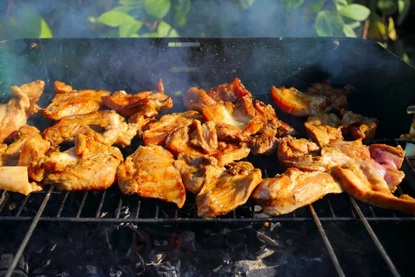 Bahçe partide ızgara