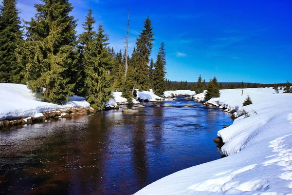 Jizera Izera River Snowy Sunny Day Polish Czech Border Sudetes — Stock Photo, Image