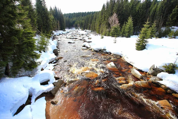 Jizera Izera River Snowy Sunny Day Polish Czech Border Sudetes — Stock Photo, Image